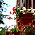 Elizabeth Dy Boutique Отель 3*
