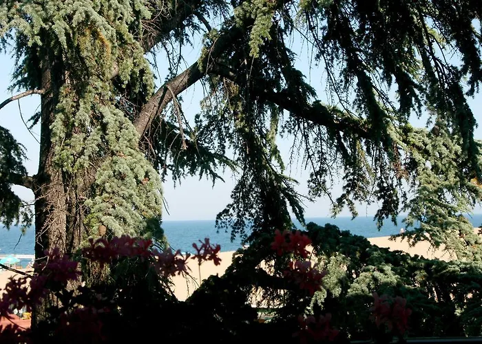 Elizabeth Dy Boutique 3* Nesebar