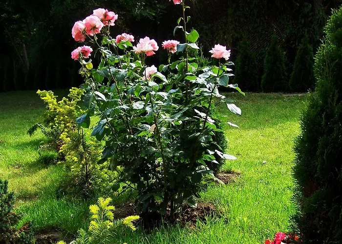 Elizabeth Dy Boutique