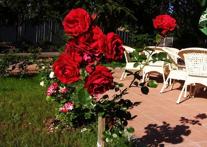 Elizabeth Dy Boutique فندق 3*